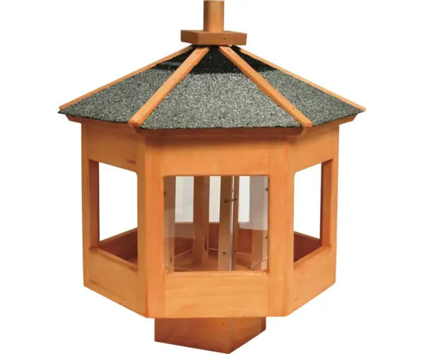 Bird Feeder
